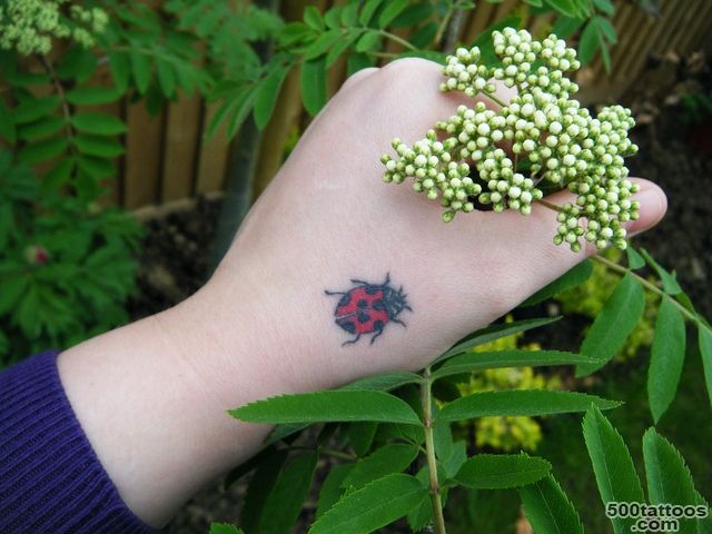 20 Fantastic Ladybug Tattoos for Women  Get New Tattoos for 2016 ..._45