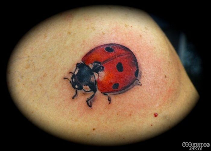 41+ Beautiful Ladybug Tattoos Ideas_4