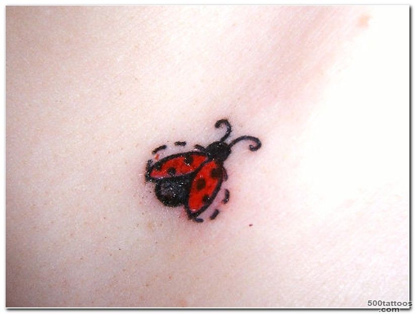 41+ Beautiful Ladybug Tattoos Ideas_7
