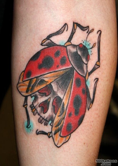 Beautiful Ladybug Tattoos With Lovely Meanings   Tattoos Win_12
