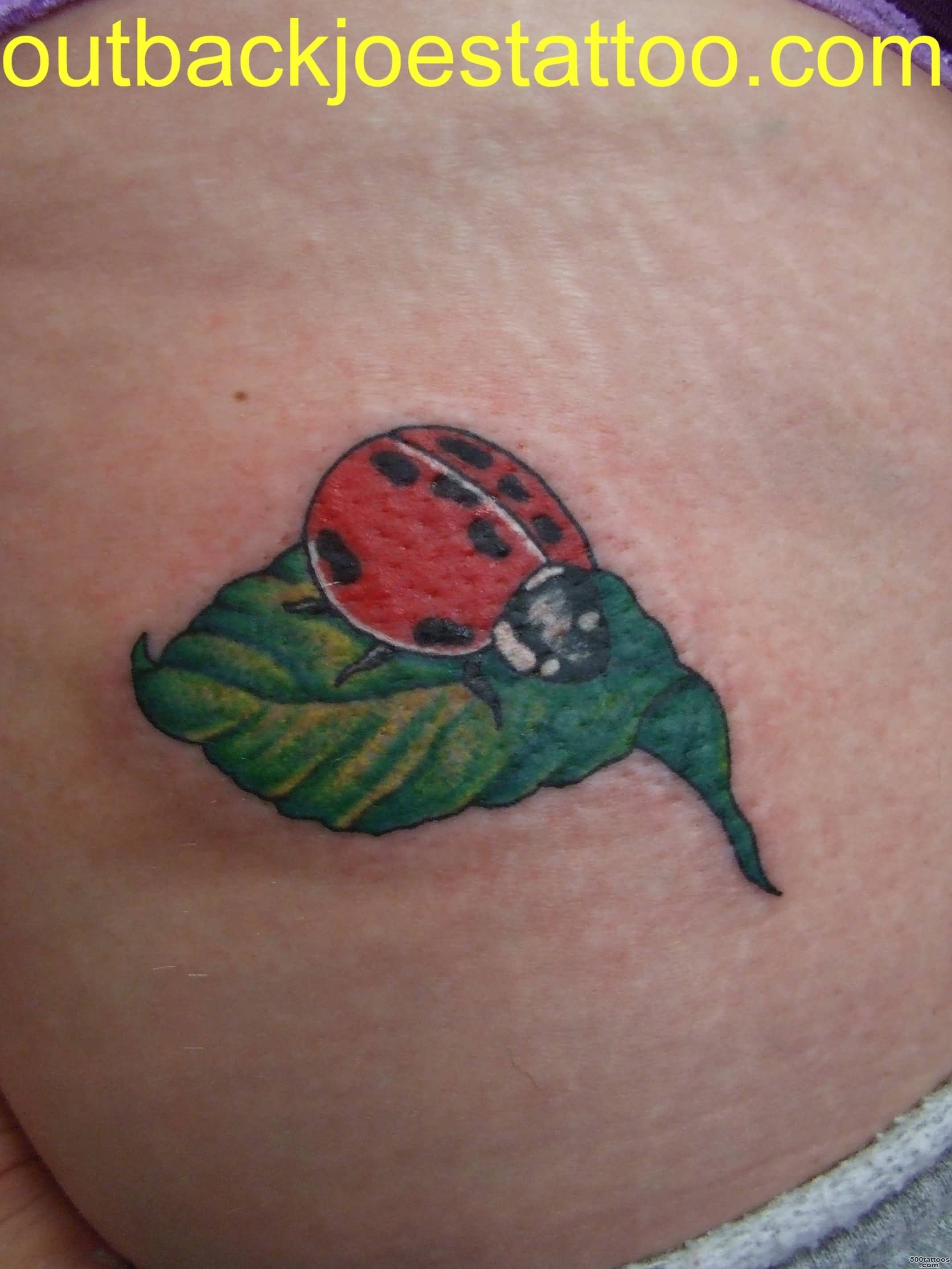 Famous Design On Breast Upper Ladybug Tattoo  Tattooshunter.com_46.JPG