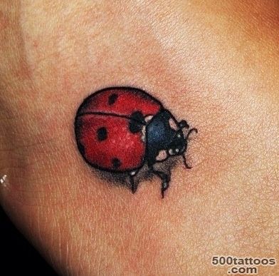 Ladybird tattoo #instagram  Ink.  Pinterest  Ladybird Tattoo ..._11
