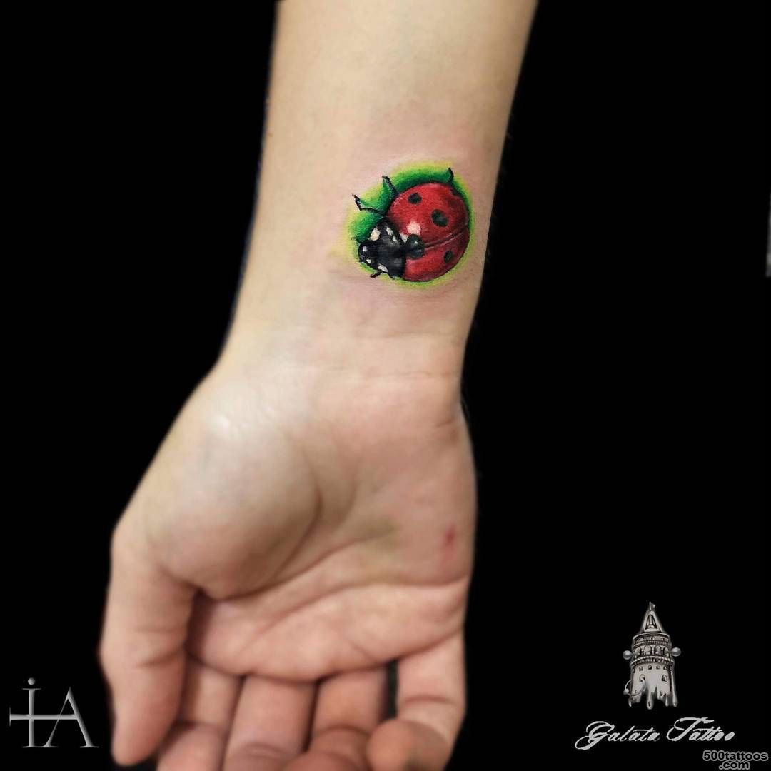 Ladybug Tattoo  Best Tattoo Ideas Gallery_38