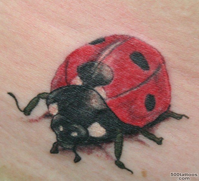Ladybug Tattoo by Kaeru Tattoo_32