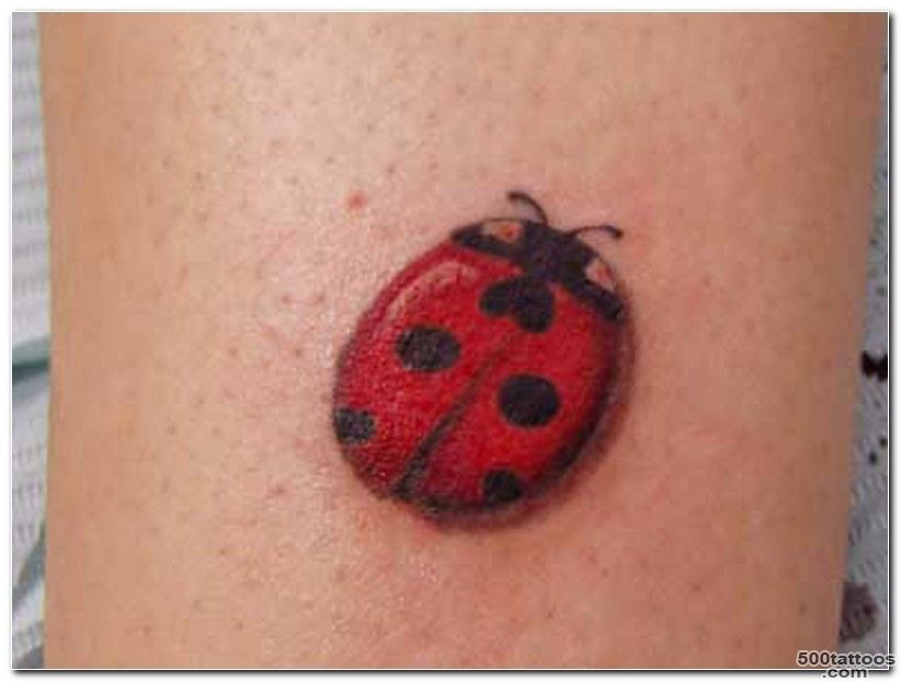 Ladybug Tattoo Designs  Ladybug Tattoos Designs  Free Ladybug ..._35