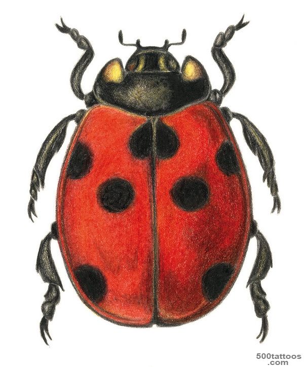 Ladybug Tattoo Designs  MadSCAR_22