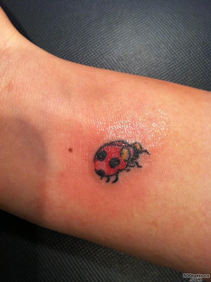 Ladybug Tattoo  Fresh Tattoo Ideas_44