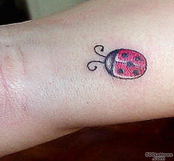 Ladybug Tattoos, Designs And Ideas  Page 10_39