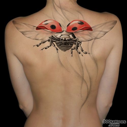 Ladybug Tattoos, Designs And Ideas  Page 12_25