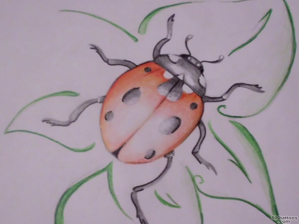 Ladybug Tattoos, Designs And Ideas  Page 12_30