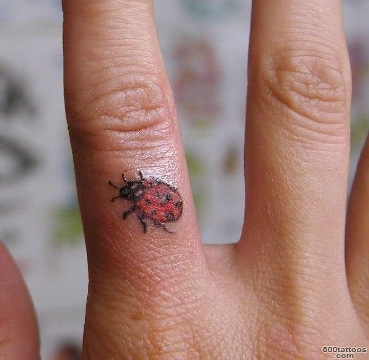 Ladybug Tattoos, Designs And Ideas  Page 18_40