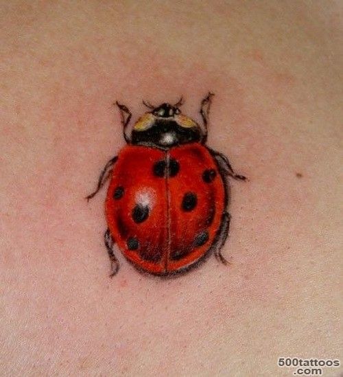 Ladybug tattoos photos   Tattoo.pm_14