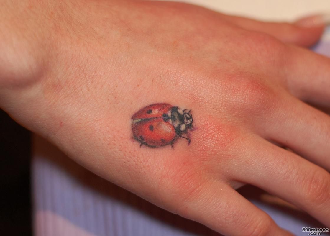 Ladybug Tattoos  TattoosandPiercings.net_21