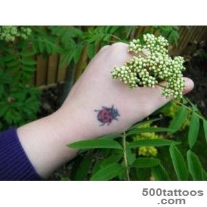 20 Fantastic Ladybug Tattoos for Women  Get New Tattoos for 2016 _45