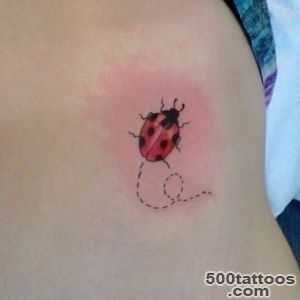 41+ Beautiful Ladybug Tattoos Ideas_2