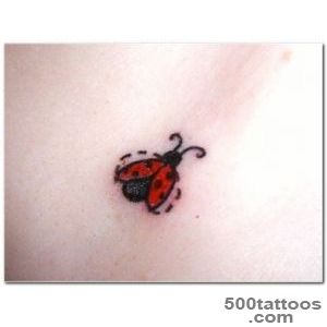 41+ Beautiful Ladybug Tattoos Ideas_7