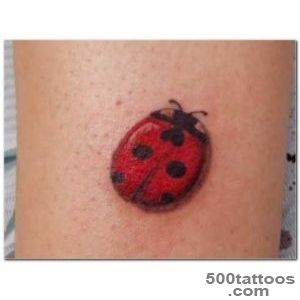 Ladybug Tattoo Designs  Ladybug Tattoos Designs  Free Ladybug _35