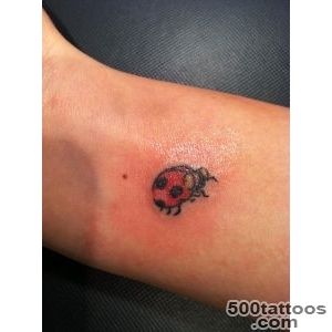 Ladybug Tattoo  Fresh Tattoo Ideas_44