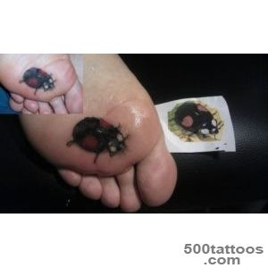 Ladybug Tattoos and Designs Page 33_48