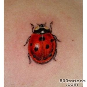 Ladybug tattoos photos   Tattoopm_14