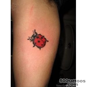 Small Flower n Ladybug Tattoo   Tattoes Idea 2015  2016_20