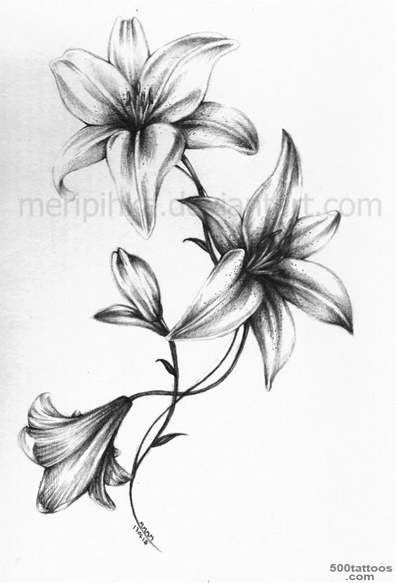 1000+ ideas about Lilies Tattoo on Pinterest  Calla Lily Tattoos ..._1