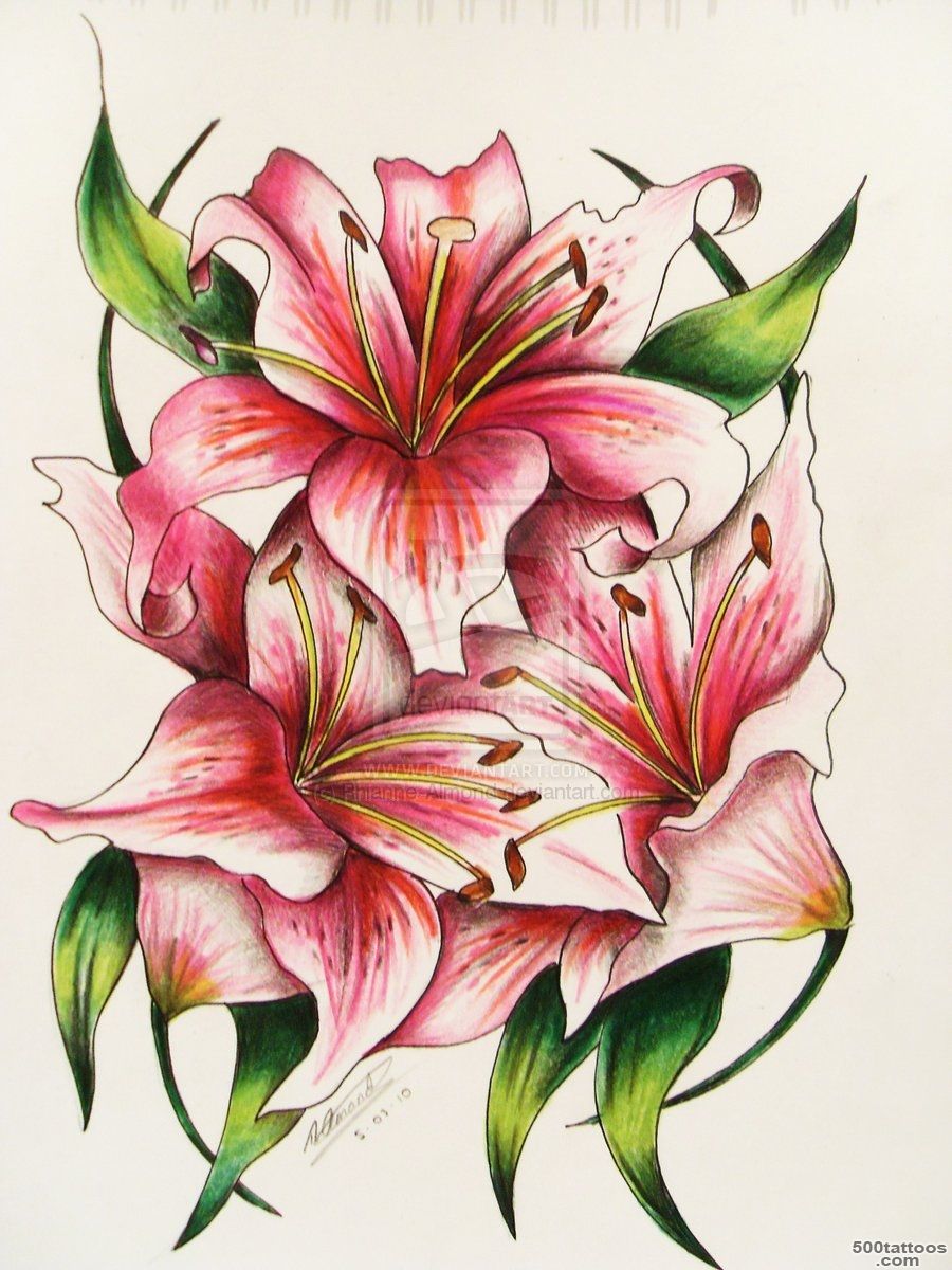 Lily Tattoos, Designs And Ideas  Page 16_23