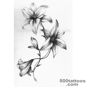1000+ ideas about Lilies Tattoo on Pinterest  Calla Lily Tattoos _1
