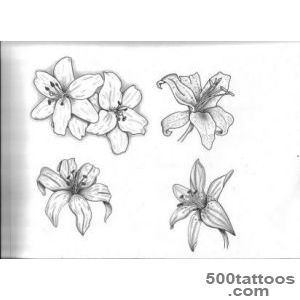 Top Lily Drawings Images for Pinterest Tattoos_25