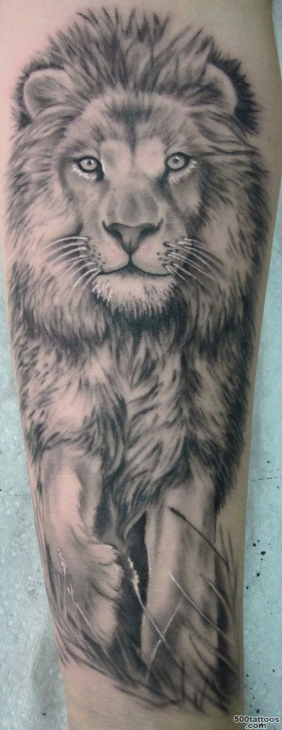 Lion Tattoo Designs for Men  Get New Tattoos for 2016 Designs and ..._48