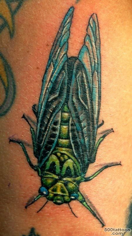 Locust tattoo  Emlei  Pinterest  Cicada Tattoo and Tattoos and ..._2
