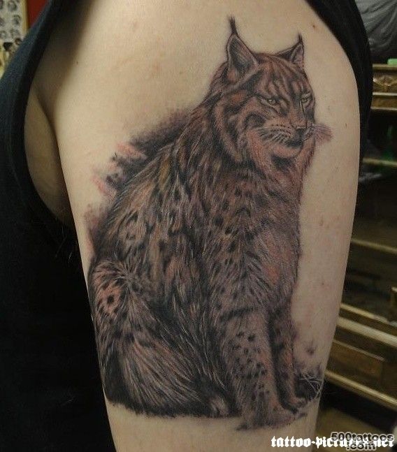 11 Lynx Tattoo Images, Pictures And Ideas_24