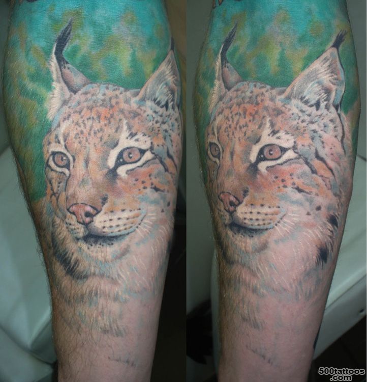 Awesome Color Ink Lynx Tattoo On Arm_31