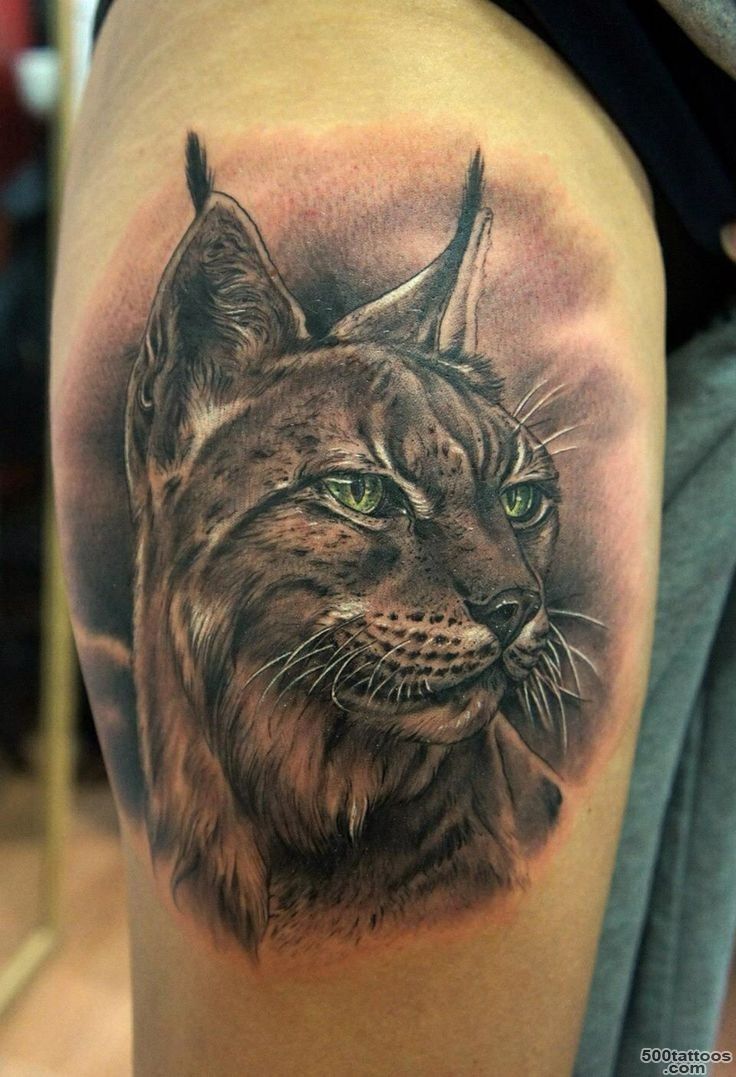 Colorful portrait of lynx tattoo on arm   Tattooimages.biz_17