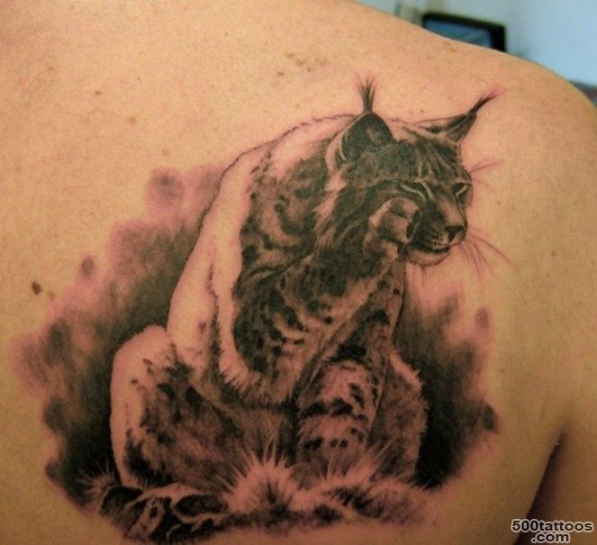 Cute lynx at rest tattoo on shoulder blade   Tattooimages.biz_45