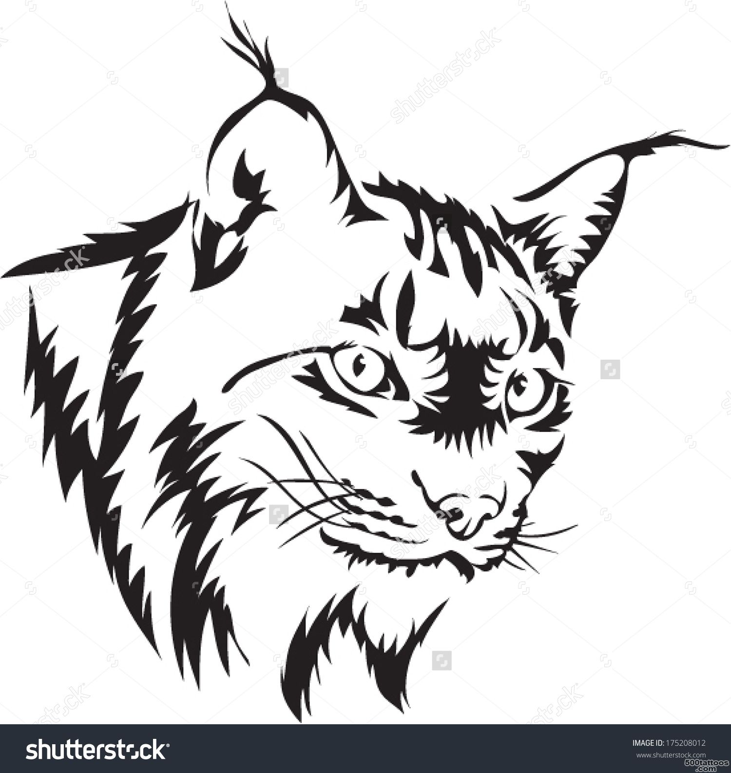 Tattoo Vector Of Lynx   175208012  Shutterstock_42