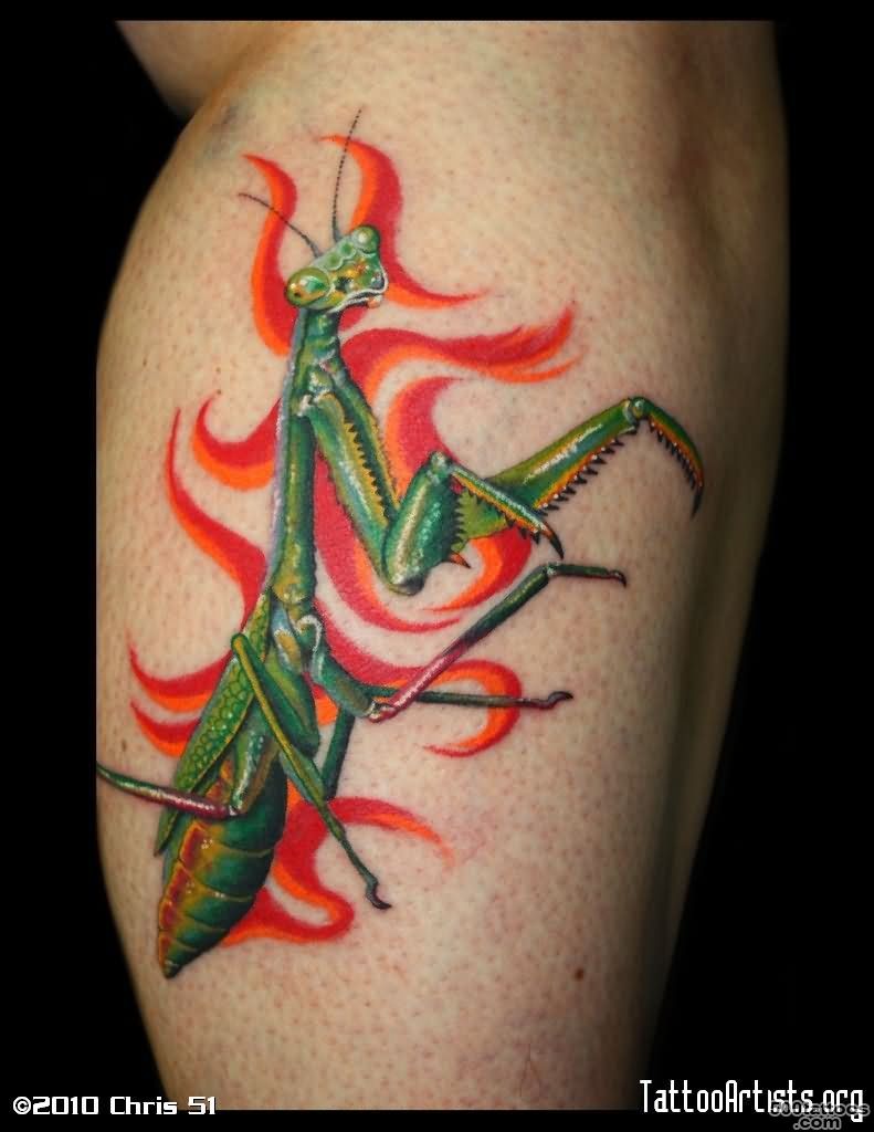 Mantis Tattoo Images amp Designs_44