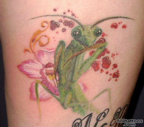 Pin Praying Mantis Tattoo Body Tattoos Pinterest on Pinterest_18