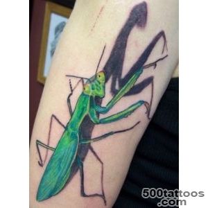 Pin Orchid Praying Mantis Tattoo on Pinterest_13