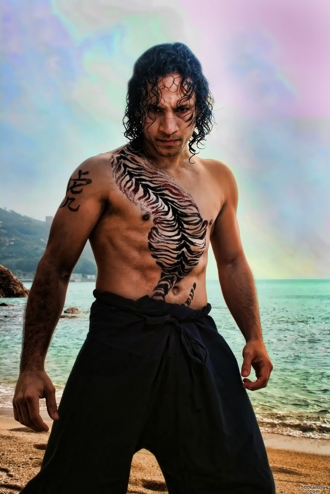 Kung Fu Tiger! Martial Arts Torso Glitter Tattoo  Body Painting ..._2