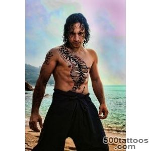 Kung Fu Tiger! Martial Arts Torso Glitter Tattoo  Body Painting _2