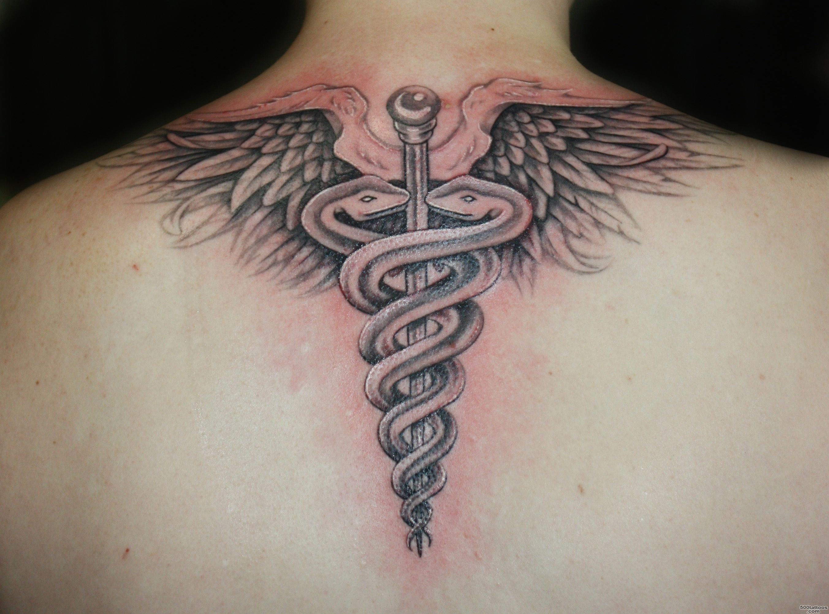 Pin Image Search Medical Tattoos For Scars Naga Over Mastectomy ..._10