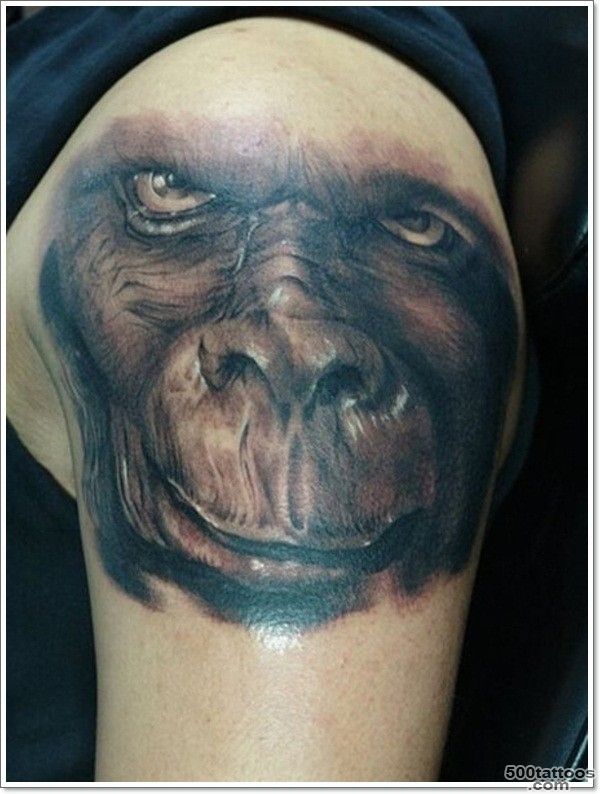 Awesome realistic monkey tattoo on shoulder   Tattooimages.biz_40