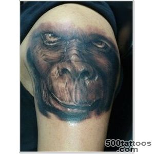Awesome realistic monkey tattoo on shoulder   Tattooimagesbiz_40