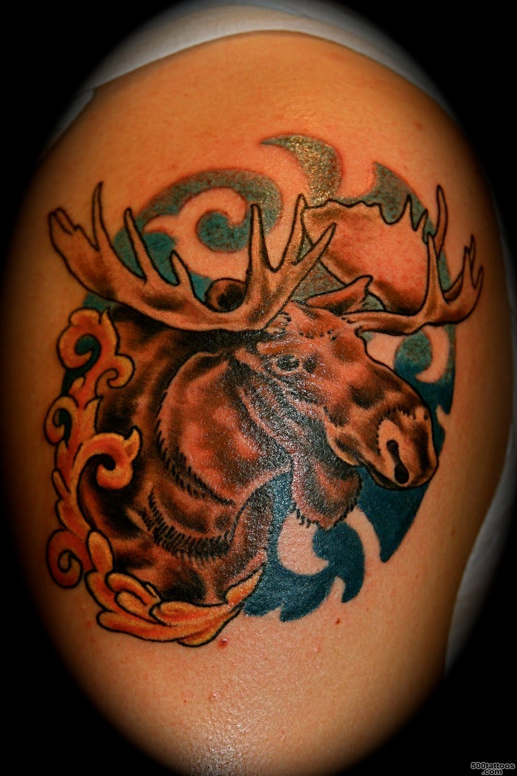 Wild Tattoos Moose tattoos_34.JPG