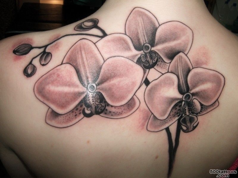 Orchid Flower tattoos   Tattooimages.biz_32