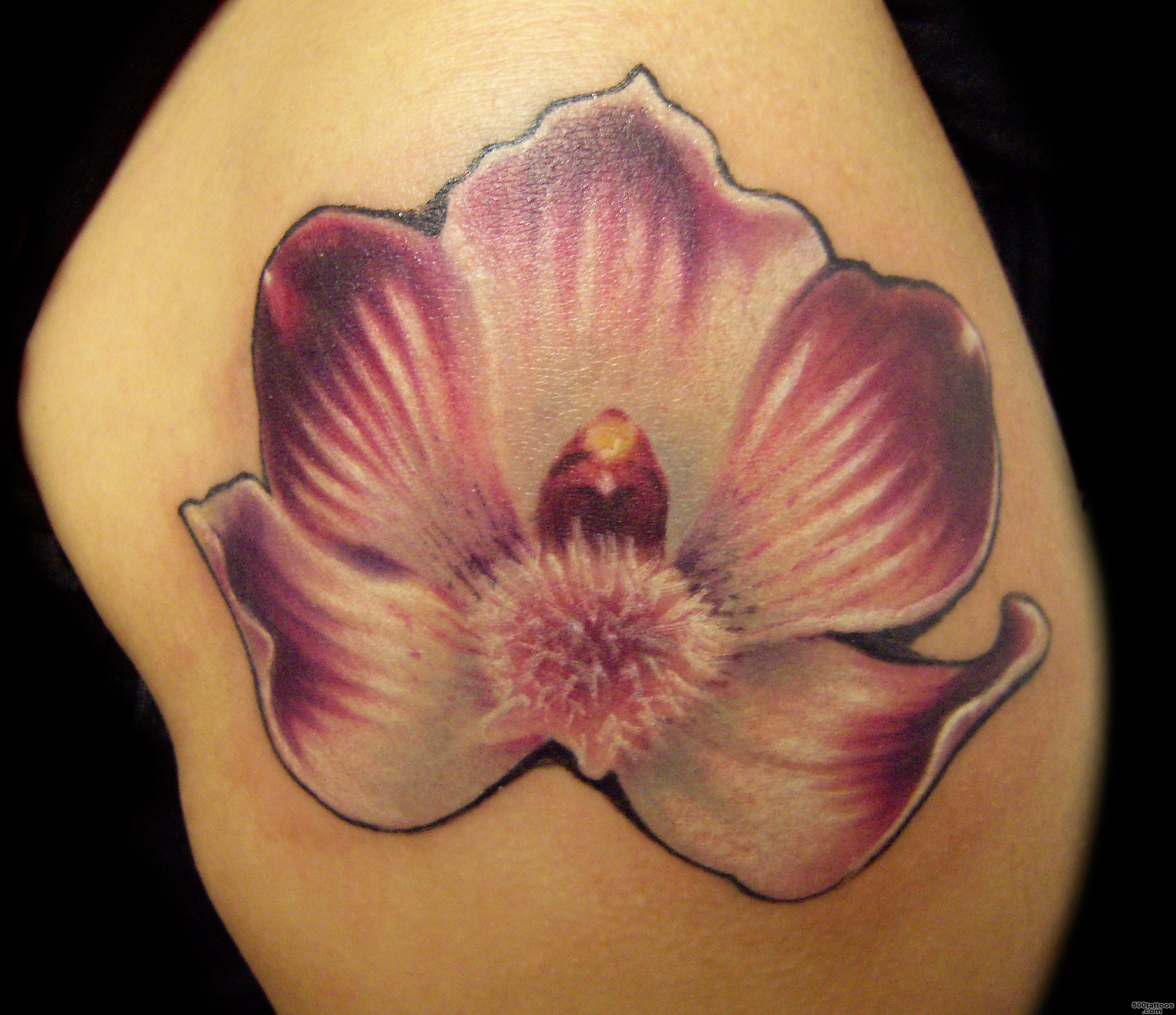 Orchid Tattoos Designs, Ideas and Meaning  Tattoos For You_26
