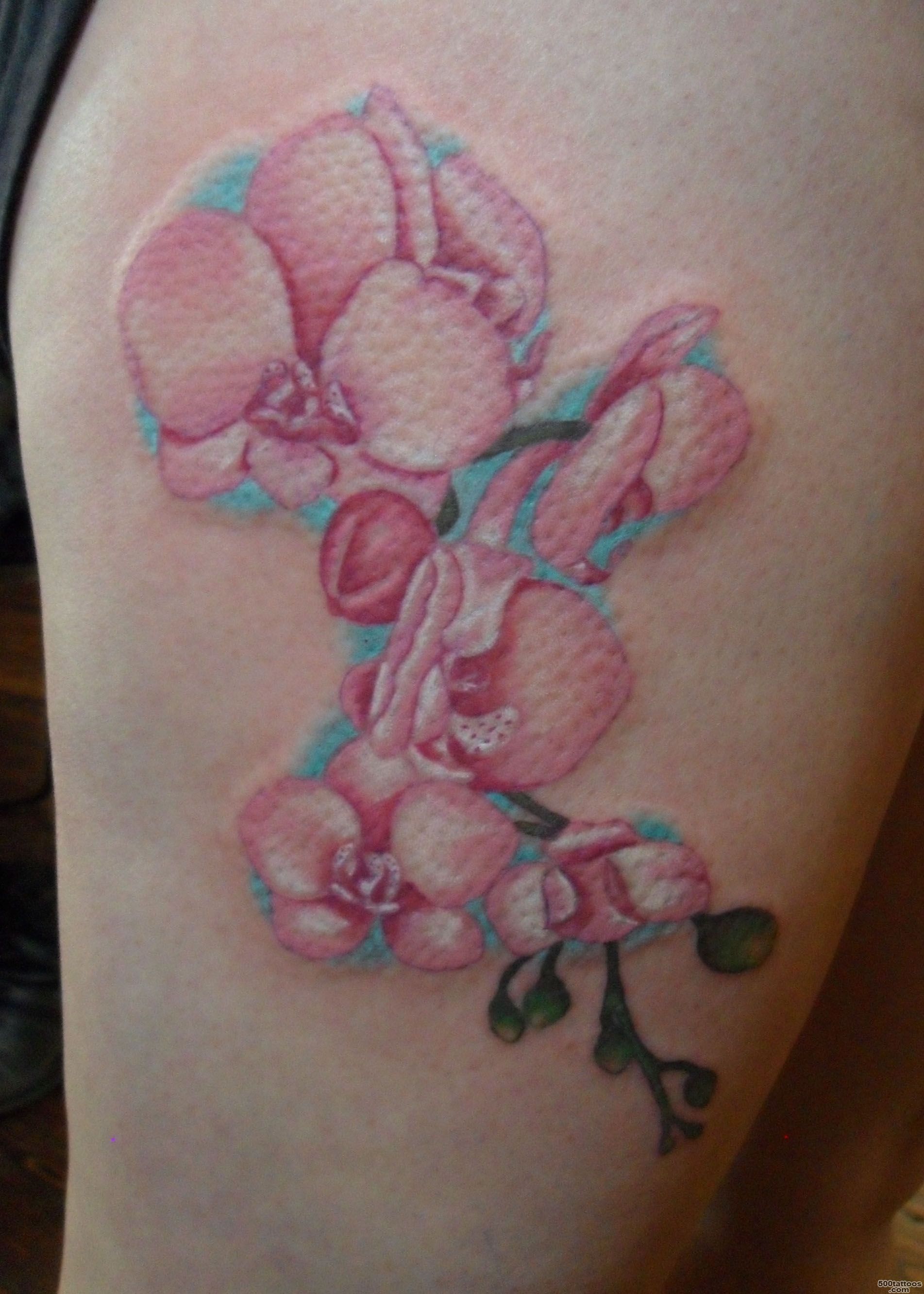 Orchid Tattoos Designs, Ideas and Meaning  Tattoos For You_37