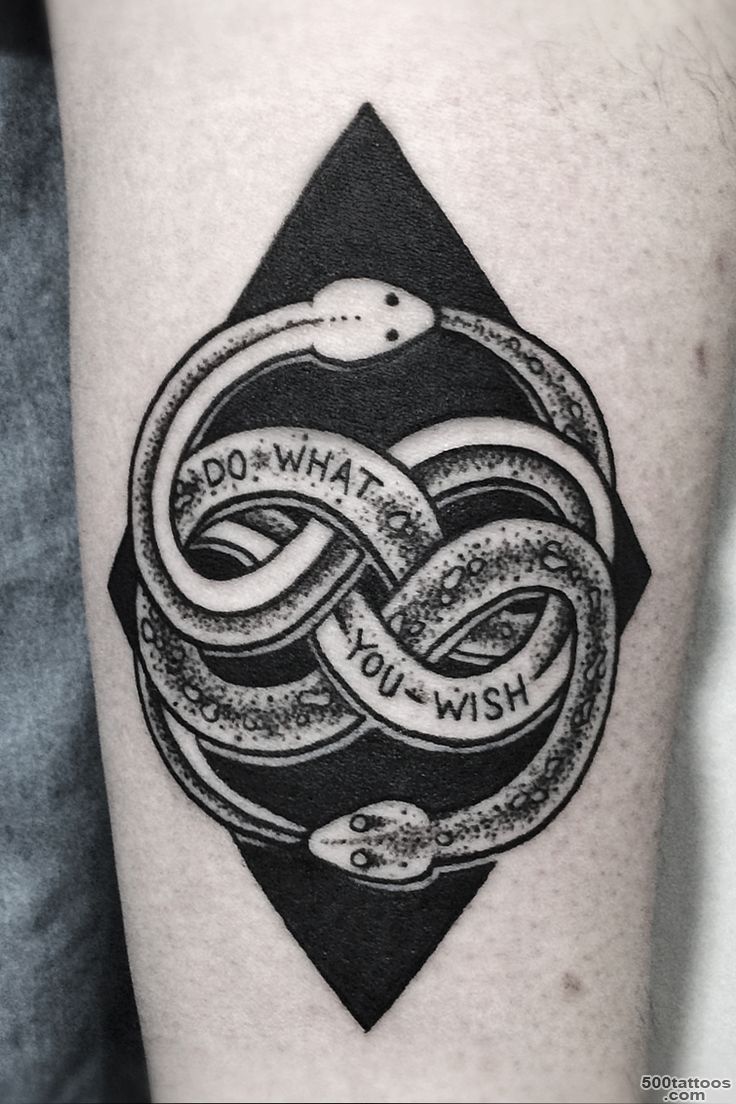 Fine Ouroboros Snake Tattoo_29