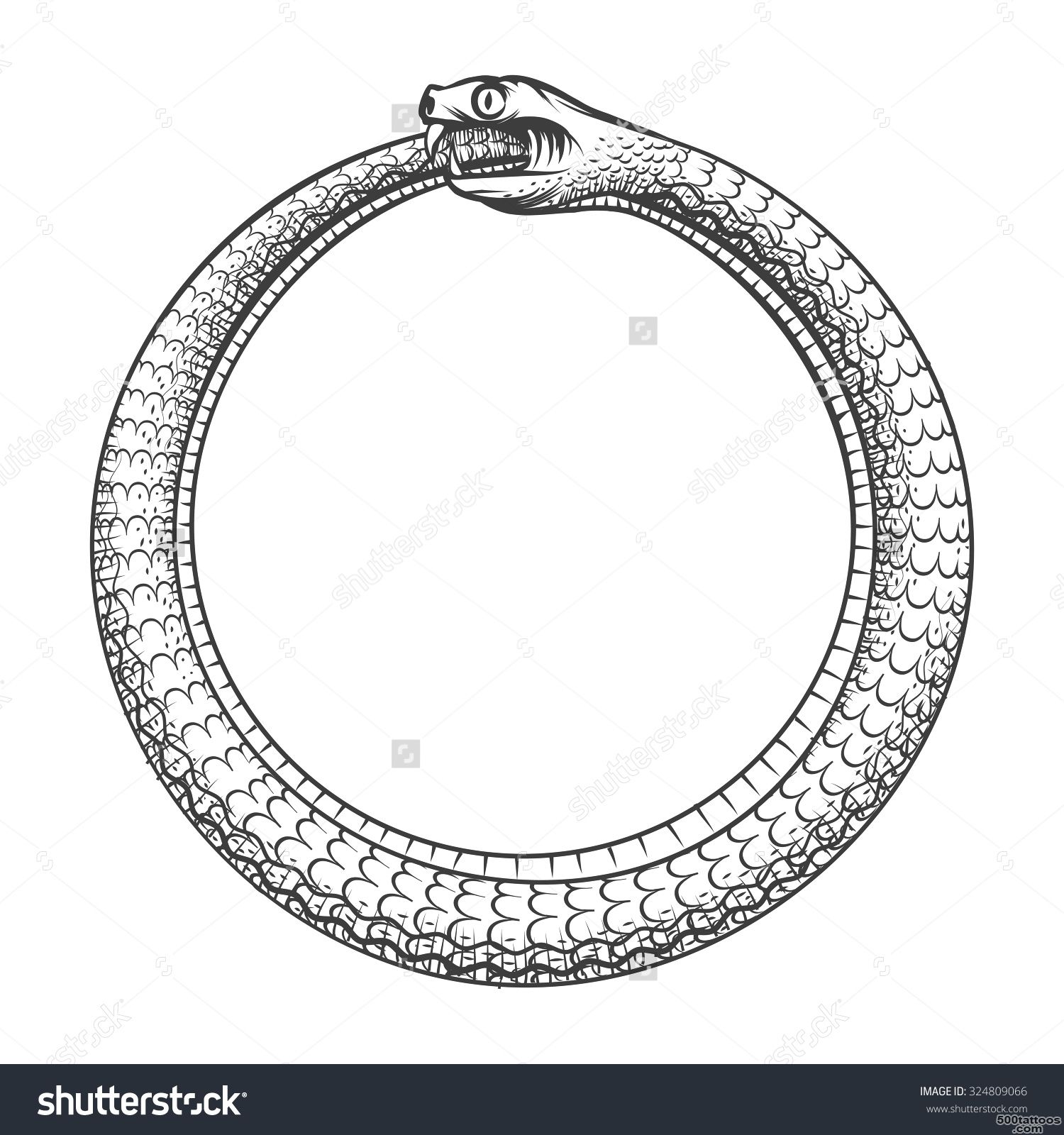 Magic Symbol Of Ouroboros. Tattoo With Snake Biting Its Own Tail ..._35